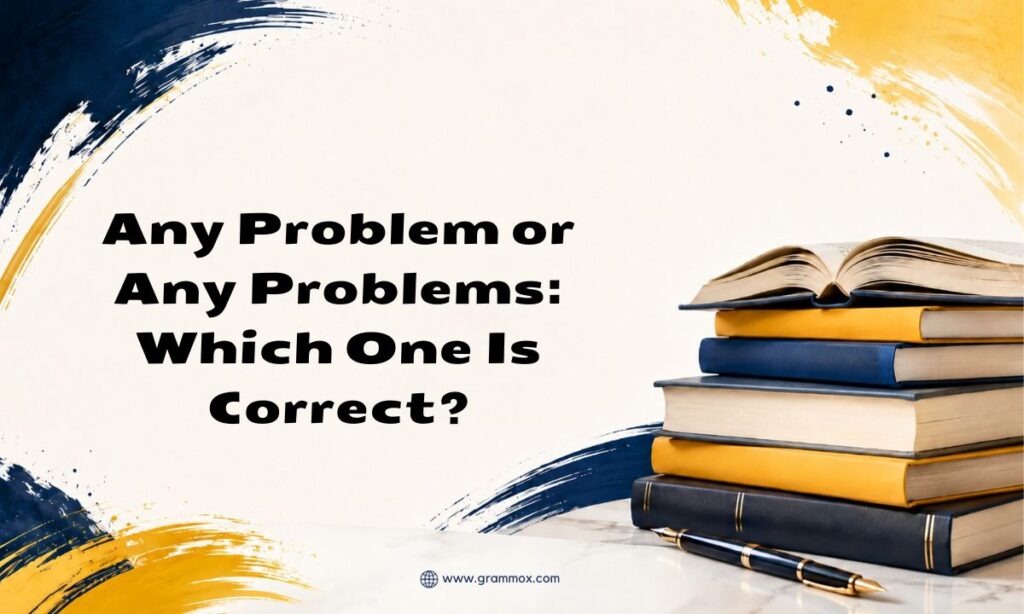 Any Problem or Any Problems_ Which One Is Correct