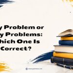 Any Problem or Any Problems_ Which One Is Correct
