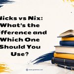 Nicks vs Nix_ Whats the Difference and Which One Should You Use