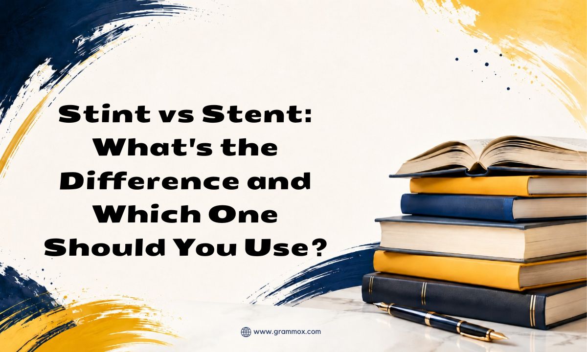 Stint vs Stent_ Whats the Difference and Which One Should You Use