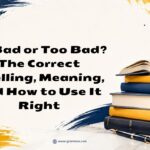 To Bad or Too Bad The Correct Spelling, Meaning, and How to Use It Right