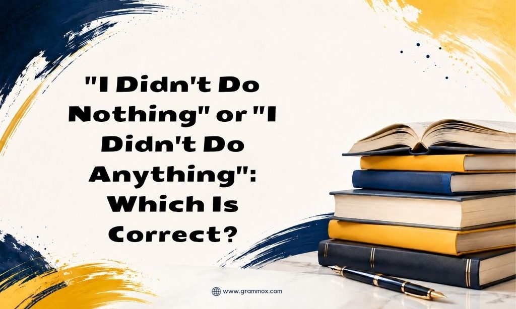 I Didnt Do Nothing_ or _I Didnt Do Anything__ Which Is Correct