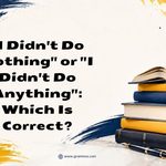 I Didnt Do Nothing_ or _I Didnt Do Anything__ Which Is Correct