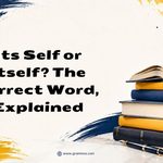 Its Self or Itself_ The Correct Word, Explained