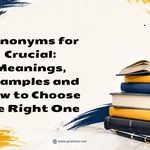 Synonyms for Crucial_ Meanings, Examples and How to Choose the Right One