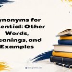 Synonyms for Essential_ Other Words, Meanings, and Examples